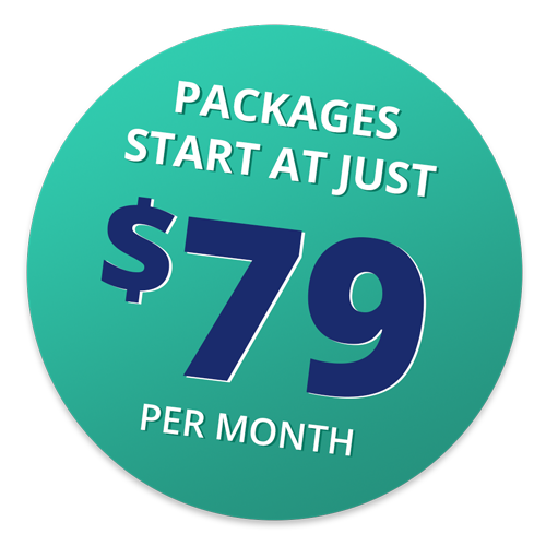 Store dynamis packages start at just $79 per month